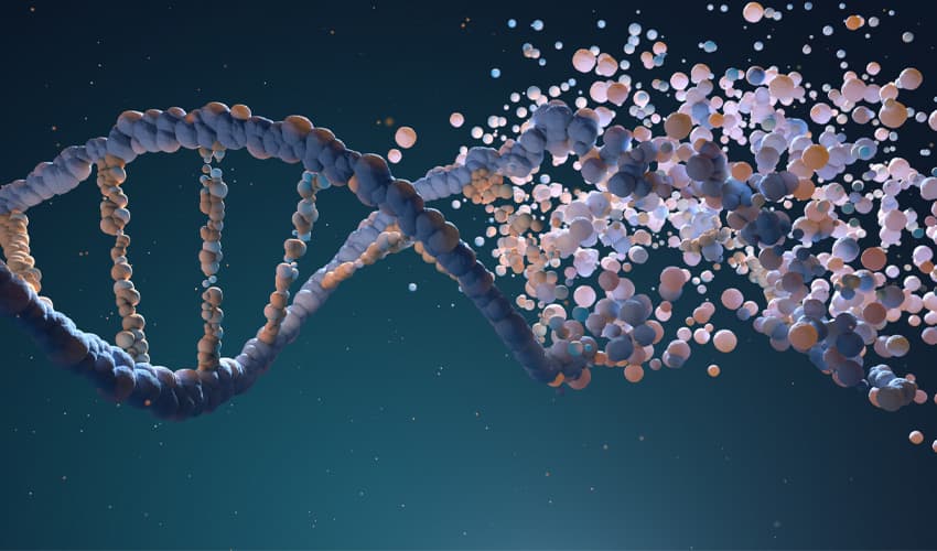 MTHFR genetic testing
